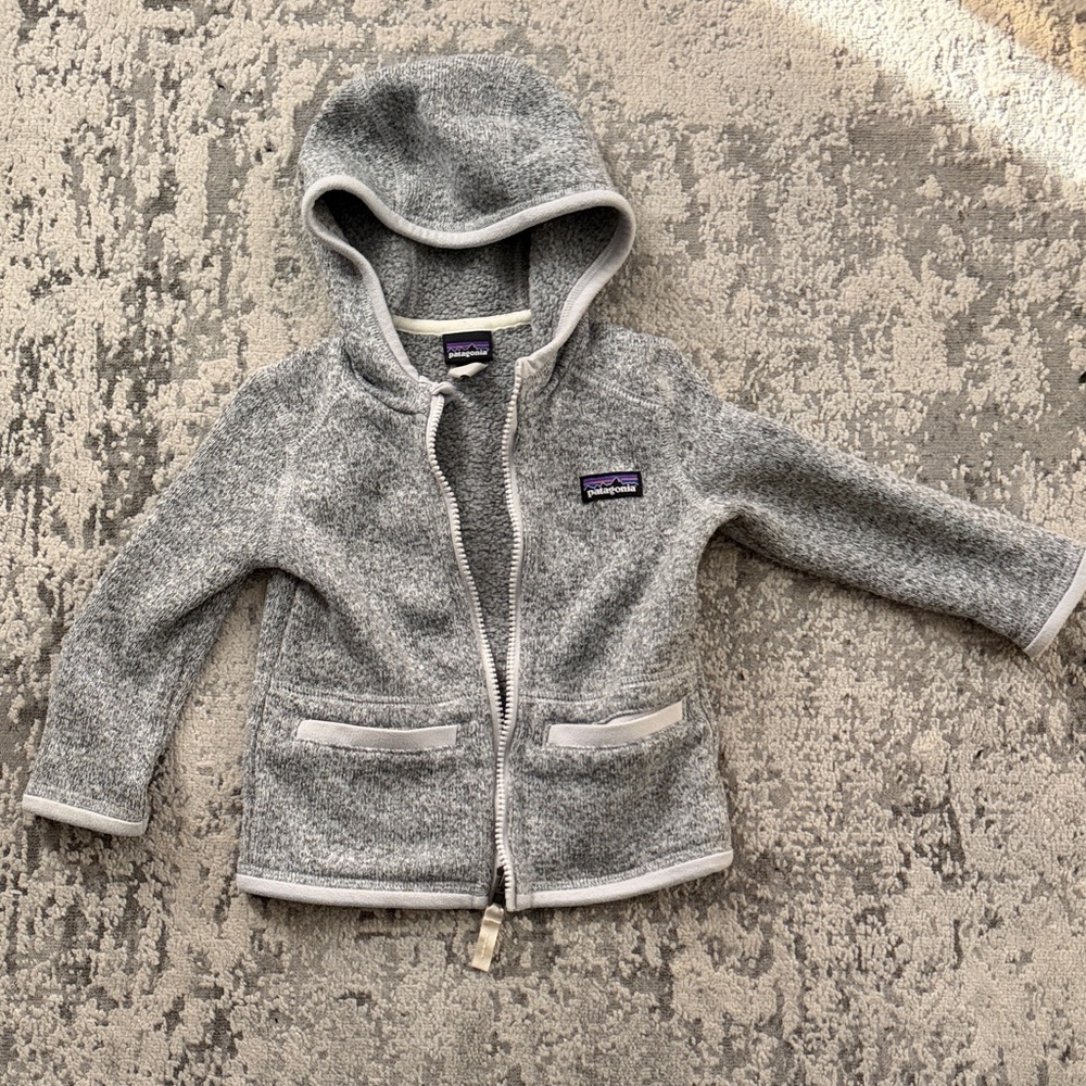 Patagonia Heather Gray Fleece Hoodie